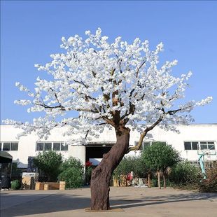 ��c��ɫ����ѻ����҃�չ�d�W�t�S��쾰�b��;��^�٘�[��