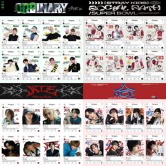 Stray Kids 李龍福、黄軒晨周辺グッズ 透明カードコレクション アルバム同型PVCカード8枚