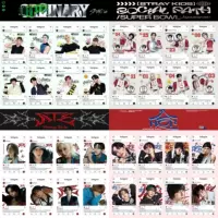 Прозрачный набор фотокарт из ПВХ (StrayKids), 8 карточек, 8.5×5.3 см, упакованы по отдельности в OPP