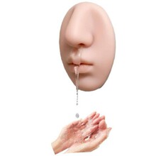 Realistic Nose Shape Wall-Mounted Soap Dispenser ������Һ��