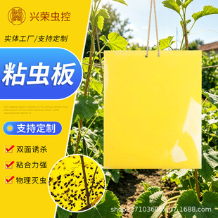 �S��؛Դ�T�x�� �S���{��ճ�x�� մ��ω�T�������@�����nω�N��