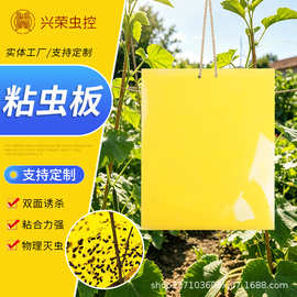 厂家货源诱虫板 黄板蓝板粘虫板 沾果蝇诱捕器果园蚊子苍蝇贴纸