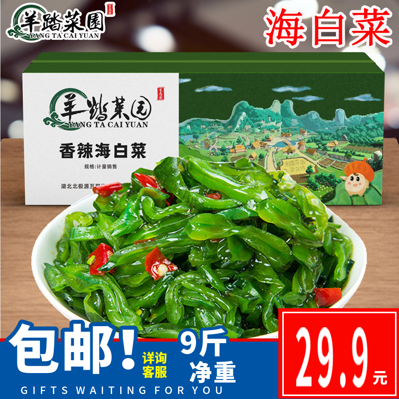 羊踏菜园油焖海白菜整箱10斤装酱菜即食下饭海裙带菜散装咸菜商用