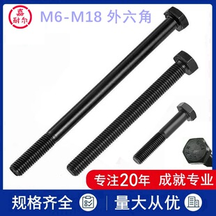 12.9�������^�ݽz�U10M12m16*180x200*220X350���L������������˨