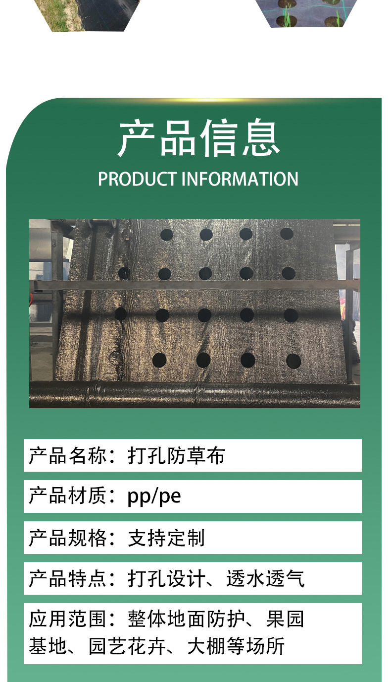 c298aa2c3ee23f8169e7b7d874c056