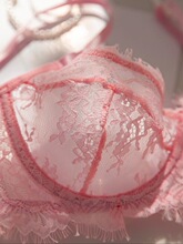 W 49671 Sexy Lace Underwear Transparent Bra �Ը���˿����