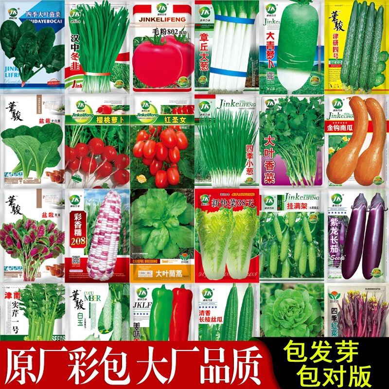 Four seasons vegetable seeds vegetable seeds spinach lettuce celery chrysanthemum hollow vegetable melon fruit and vegetable manufacturers vegetable seeds wholesale Four seasons vegetable seeds vegetable seeds spinach lettuce celery chrysanthemum hollow vegetable melon fruit and vegetable manufacturers vegetable seeds wholesale