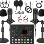 双人语音bm-800v8s转换器
