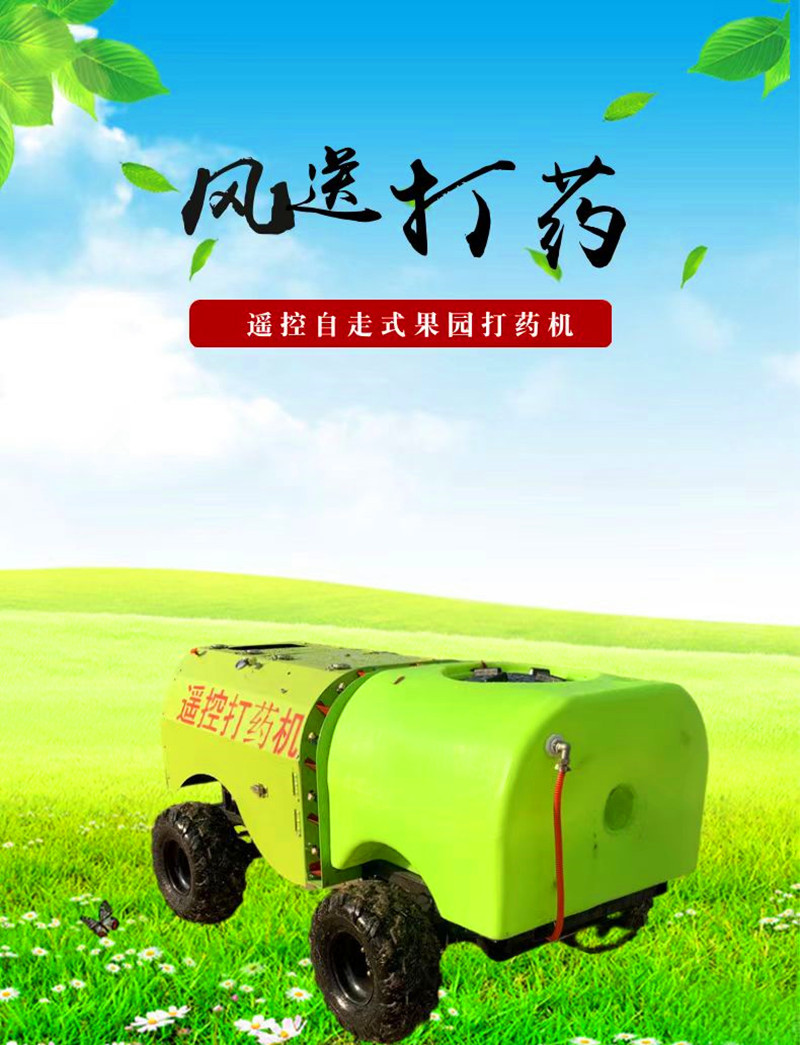 微信图片_20241225101648