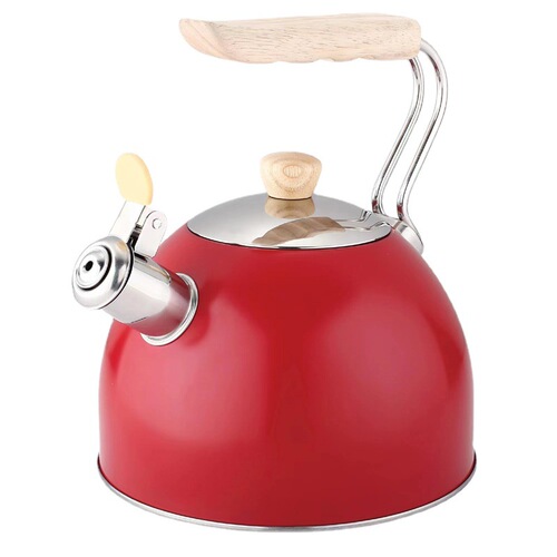 Amazon Cross-border Water Kettle, High-end Stainless Steel Whistling Kettle for Home Use, High Aesthetic Whistling Pot for Wholesale, Gas-powered