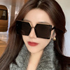 Metal brand sunglasses, trend glasses engraved solar-powered, Korean style, internet celebrity