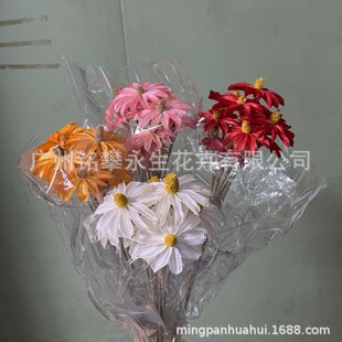 Wenxin orchid small bingju dried flowers violet small daisy home decoration dried flowers eternal flowers wholesale