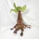 Amazon Hot Sale Harry Potter Mandrake Mandrake Plush Toy Doll Doll Willow