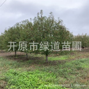 ����������ľ���� �k������6-15���ֹ��x���Ę����庣�Ĳ��~����