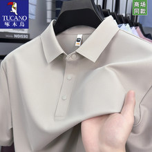 ��ľ�B���z������ʿ����polo���ļ�T��2026�¿�I�w�����b����