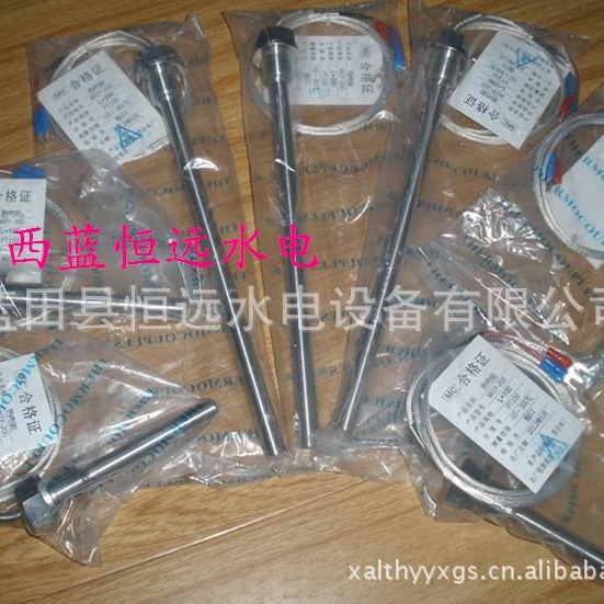 单支一体化铂热电阻WZPZ-269热电阻按装形式