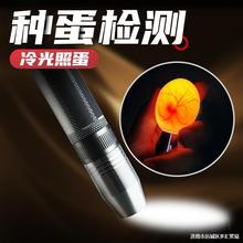 �յ������Ͳ򞵰���������C���յ����N���z��ɳ�����D