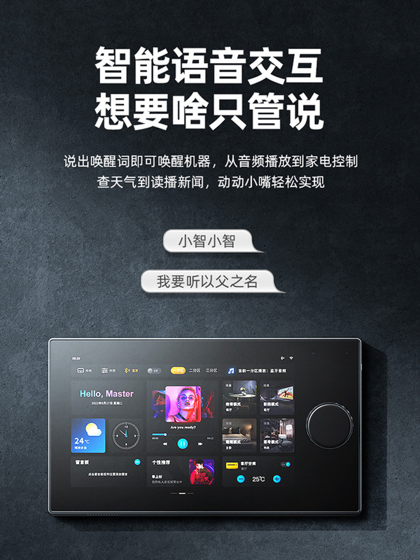 Spot Xianke Ceiling Audio Home Theater Speaker Home Living Room Surround Ceiling Intelligent Background Music