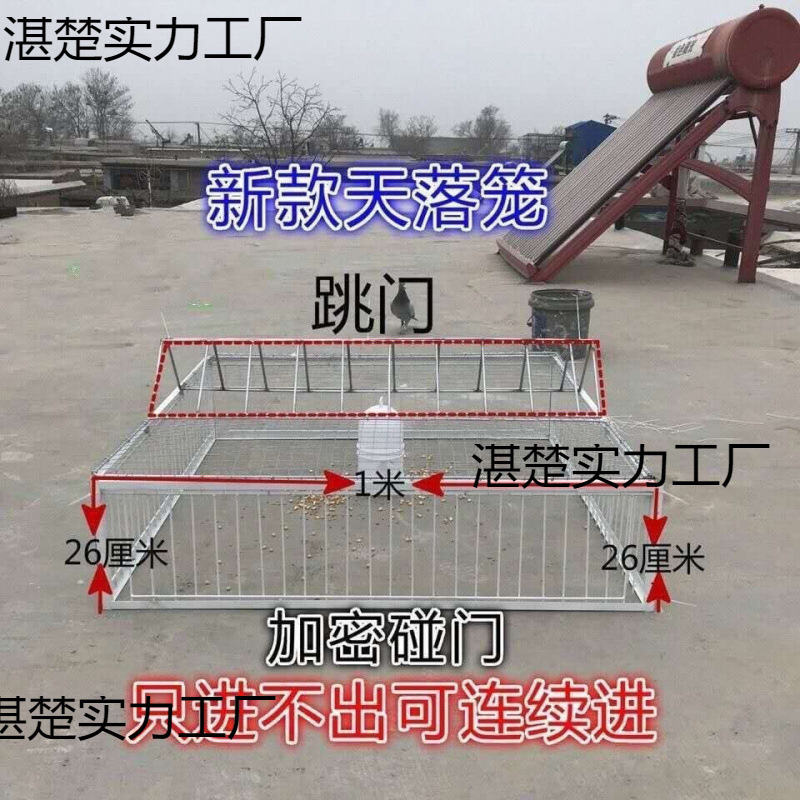 鳩の天落ケージ、鳩ケージの出入りができない、鳩ケージの開閉ドア、鳥かご、ジャンプケージ、飼育ケージ|undefined
