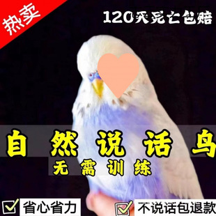 ���^��Ƥ�W�^������fԒ��С�B�������^�p�B���P�W�^�^�pĵ�����B