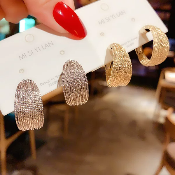 South Korea Exaggerated Metal Ring Earrings Women's Distinctive Light Luxury Ear Ring Niche Design Ear Stud s925 Silver Needle Earrings