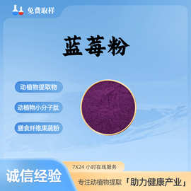 蓝莓粉99%水溶性食品级保健原料蓝莓提取物植物萃取粉末现货包邮