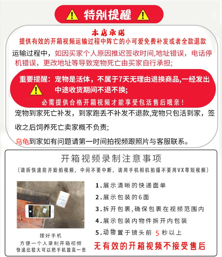 开箱视频图片