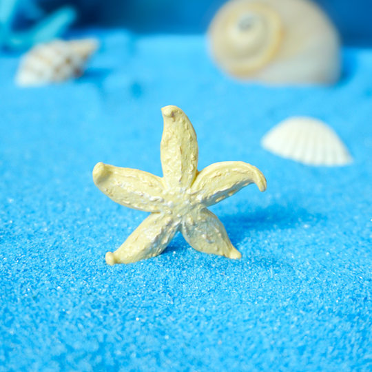 Cross-border Starfish Simulation Coral Aqua Beach Mini Marine Fish and Shrimp Set Package Micro Landscape Fish Tank Landscaping