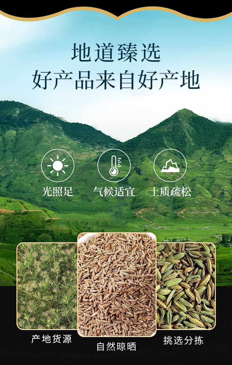 Cumin Powder (Cuminum cyminum) — Xinjiang-Grown Culinary Spice, 500g overview