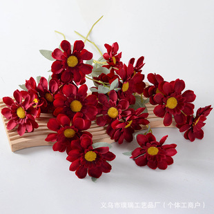 6�^̫ꖾշ��潁������ٻ� �Ƶ�Ҿӻ�c�b�Y���ÏS�����l