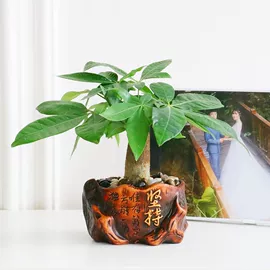 收纳架;收纳箱;收纳盒