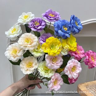 ���滨3�^ܽ�ػ��¹𻨻�c�ҾӲ廨���滨���ղ���������c���l