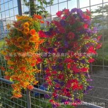 �羳���R�d���ٷ��滨�ȼ�����ţ�������Ҿӻ�Y����ͥԺ�ڒ�����