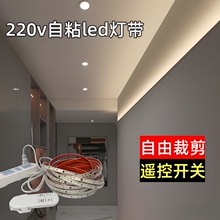 ����220v��ճ�b��led�􎧲�늾���ܛ�􎧾��l������չ���NƬ