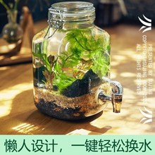 生态瓶 自循环微景观玻璃容器生态瓶观赏鱼微观生态瓶小鱼免打理