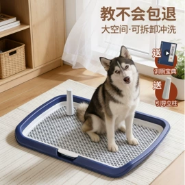 猫厕所;宠物智能喂养;猫猫食具