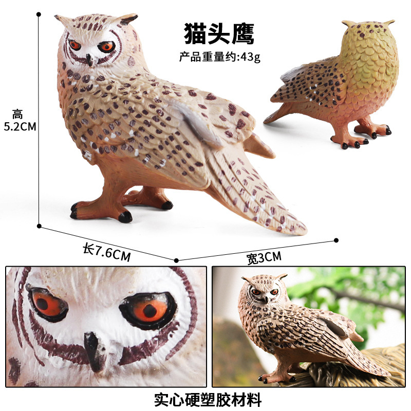 2560 owl