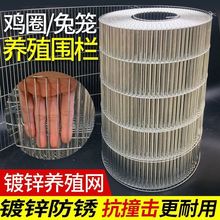 ���P�F�z�W�B�\�W�g���W�Bֳ�W늺��W���L���B�u�W���÷��o��\�W