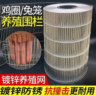 Anti-Rust Iron Wire Mesh Bird Cage Net Quail Net Breeding Net Welded Mesh Roll Long Hole Chicken Net Household Protective Galvanized Net