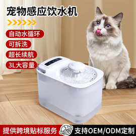 跨境宠物饮水机感应循环静音可拆洗喝水器猫咪小狗狗饮水器