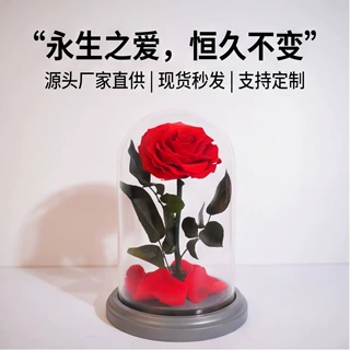 永生花小王子礼盒永生玫瑰花玻璃罩礼盒跨境批发永生花摆件节日礼