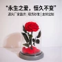 永生小王子节日跨境礼盒