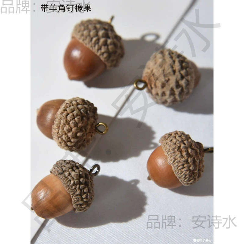 lisa家森林系DIY手作配件天然真的橡果橡子干果带羊角钉很稀少