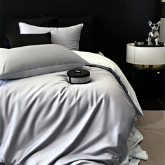 Silky Spring Silk Texture ~ Two-Color Pure Tencel Cotton Quilt Set with Damask Glossy Silk-Smooth Soft Bedding