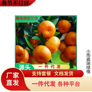 �V���޽�ɳ�ǽۘ�������ɰ�����Ә��ָ̟o�ѳ��ϱ����Nֲ��������