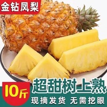 ���Ͻ���P��������}���rˮ���o����˺����ˮ���}5/9��һ����