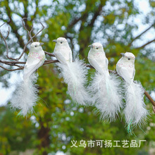 �����������ë����˼ȸ ͥԺ԰�ռҾӼ���װ�ΰڼ�����Ʒ���ֹ�