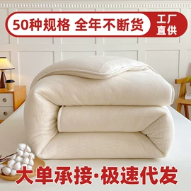 绒毯;其他枕芯;纤维被