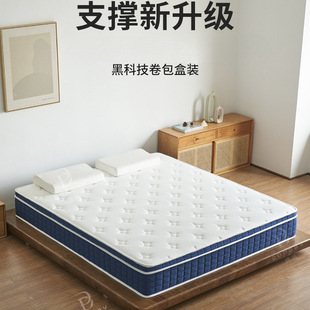 Wz Roll-Packed Compression Mattress Blue Memory Foam Spring Latex Cushion Home Box Thickeneded Simmons Bed