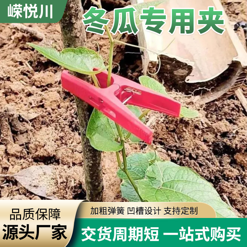 Los fabricantes suministran pinzas de plástico para verduras y frutas en invernaderos agrícolas, injertos de enredaderas, pinzas de melón de invierno, pinzas de fijación de pinzas de calabaza amarga